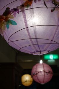 apolline paper lantern