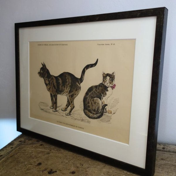 画像2: アンティーク挿絵：２匹のネコ／１９世紀 (2)