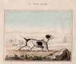 画像4: アンティーク挿絵：１匹の犬／１９世紀 (4)
